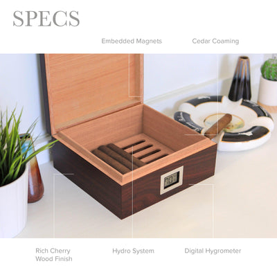 Kingston Cherry Finish Humidor - - Case Elegance