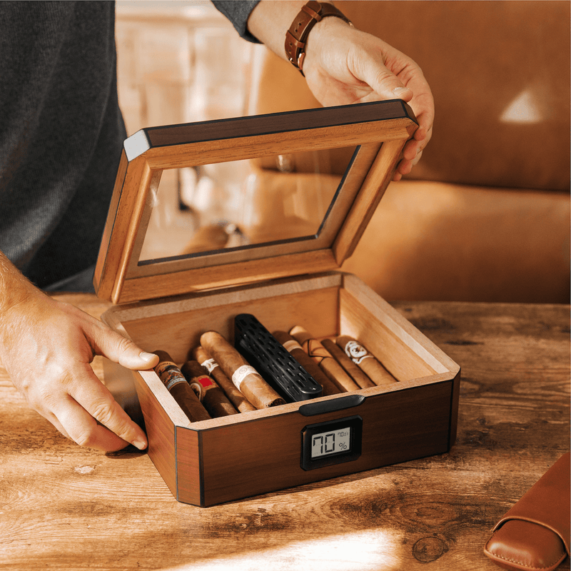 MAG Humidor - - Case Elegance