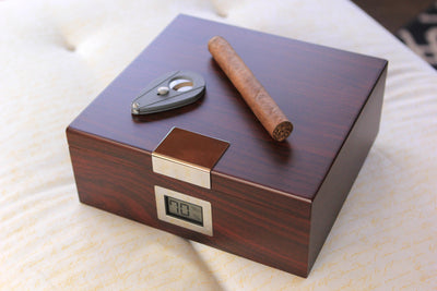 Kingston Cherry Finish Humidor - - Case Elegance